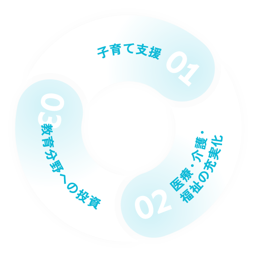 税金の使途見直し